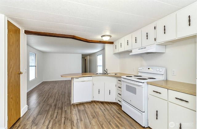 kitchen with under cabinet range hood, white appliances, a sink, and wood finished floors