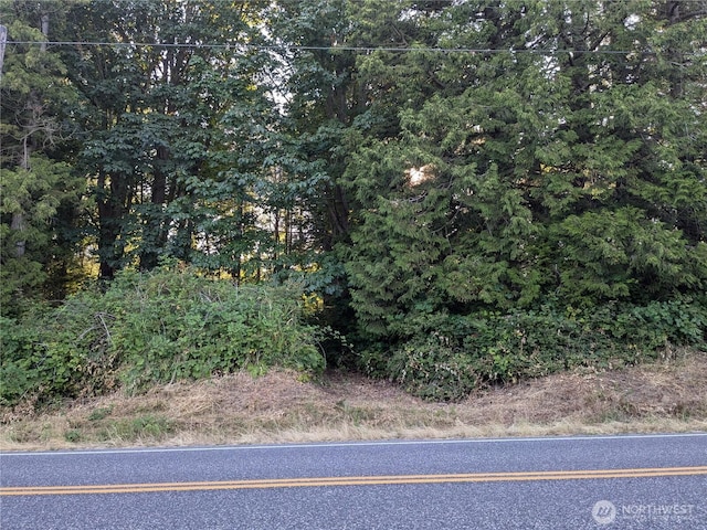 0XX Olson, Ferndale, WA 98248 - photo 1