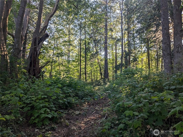 0XX Olson, Ferndale, WA 98248 - photo 2