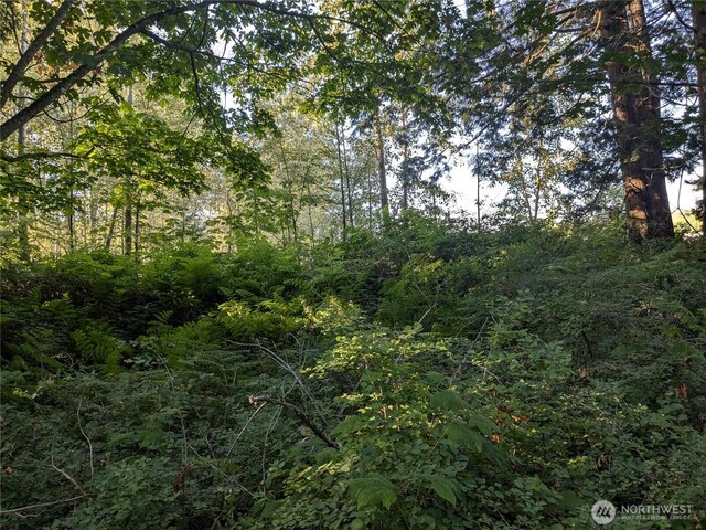 0XX Olson, Ferndale, WA 98248 - photo 3