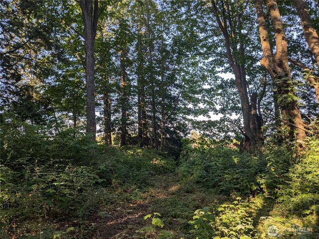 0XX Olson, Ferndale, WA 98248 - photo 4