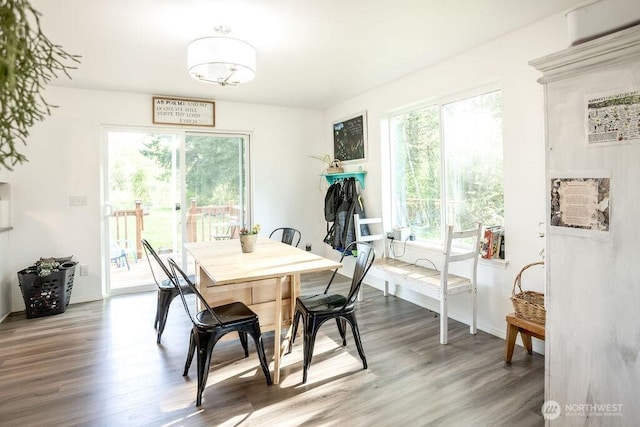 dining room featuring baseboards, a notable chandelier, and wood finished floors