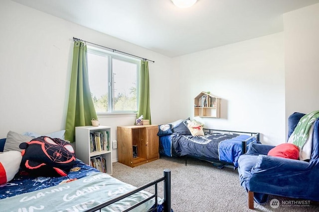 bedroom with carpet flooring