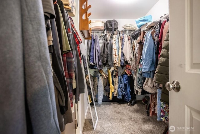spacious closet with carpet floors