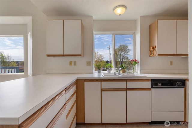 730 SE 8th Ave Unit G202, Oak Harbor, WA 98277 - kitchen with dishwasher, light countertops, a sink, and a healthy amount of sunlight