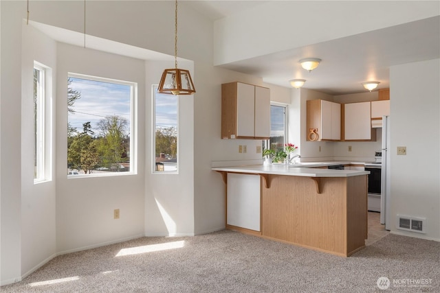 730 SE 8th Ave Unit G202, Oak Harbor, WA 98277 - kitchen with plenty of natural light, a peninsula, visible vents, and electric range oven