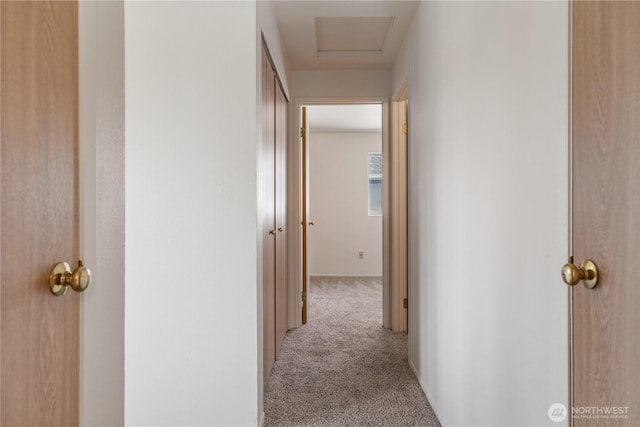 730 SE 8th Ave Unit G202, Oak Harbor, WA 98277 - corridor featuring carpet flooring