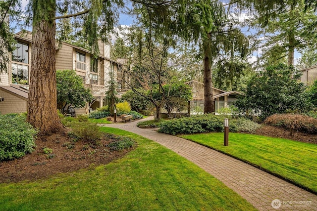 13730 15th Ave NE Unit F-103, Seattle, WA 98125 - surrounding community featuring a lawn