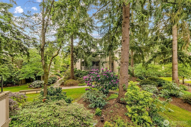 13730 15th Ave NE Unit F-103, Seattle, WA 98125 - view of community