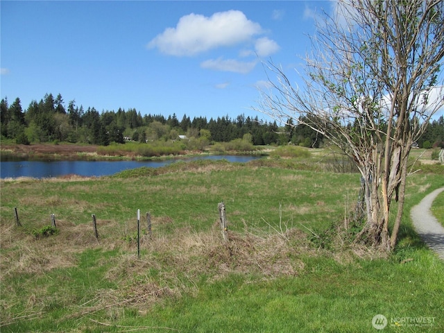 6255 Turkey Hill Rd, Clinton, WA 98236 - view of yard with a water view