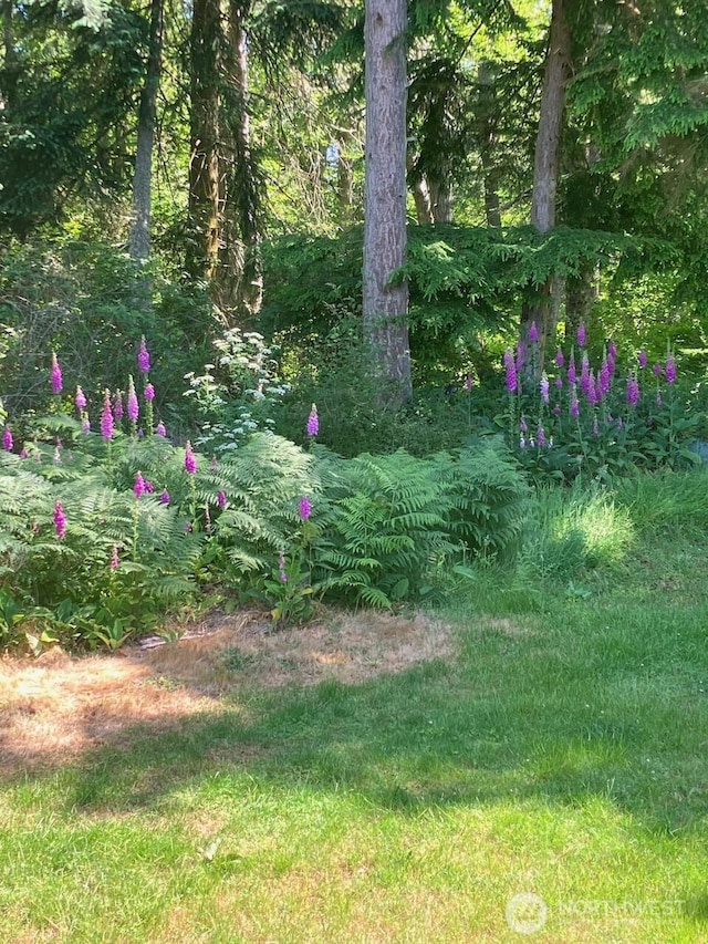 view of nature