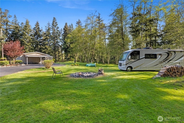 view of yard featuring a carport and aphalt driveway