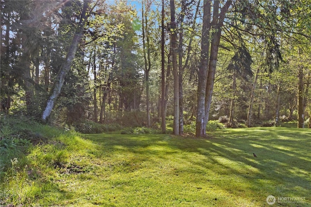 view of yard featuring a wooded view