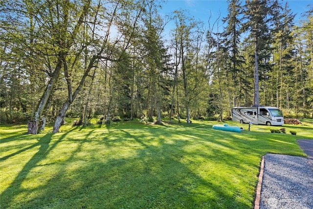 view of yard featuring a forest view