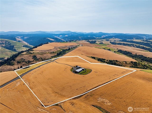 3622 Lewis Peak Rd, Dixie, WA 99361 - photo 36