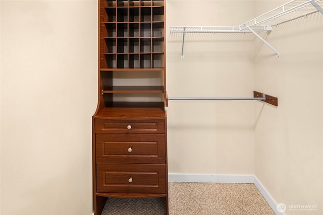 108 5th Ave S Unit 408, Seattle, WA 98104 - walk in closet featuring carpet