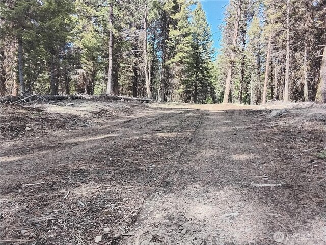 45 Spring Meadow Ln, Oroville, WA 98844
