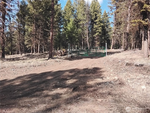 45 Spring Meadow Ln, Oroville, WA 98844