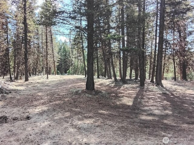 45 Spring Meadow Ln, Oroville, WA 98844