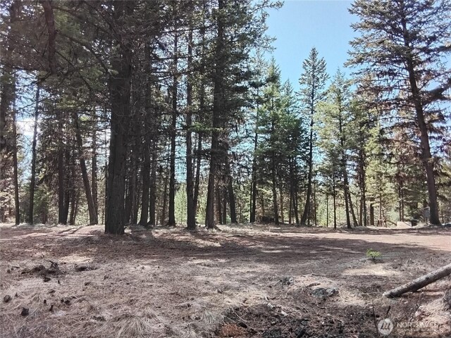 45 Spring Meadow Ln, Oroville, WA 98844
