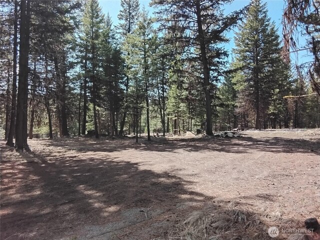 45 Spring Meadow Ln, Oroville, WA 98844