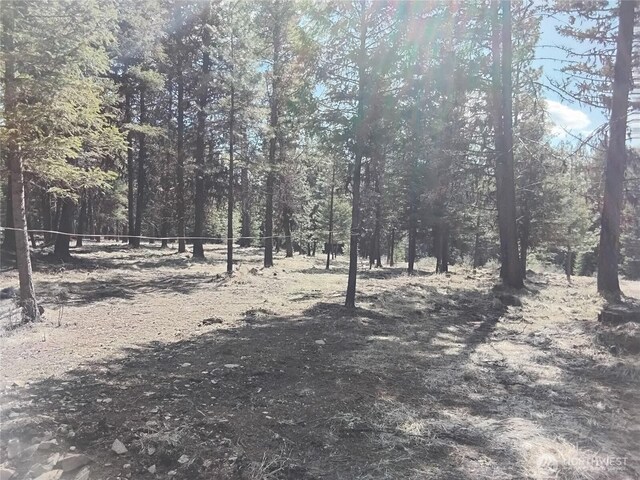 45 Spring Meadow Ln, Oroville, WA 98844