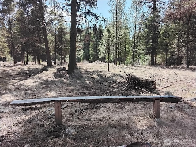 45 Spring Meadow Ln, Oroville, WA 98844
