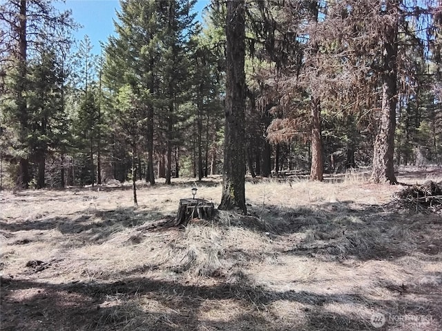 45 Spring Meadow Ln, Oroville, WA 98844