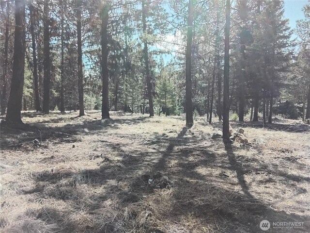 45 Spring Meadow Ln, Oroville, WA 98844