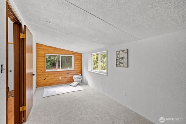 5675 Winona Ln, Langley, WA 98260 - interior space with lofted ceiling, carpet, wood walls, and a textured ceiling