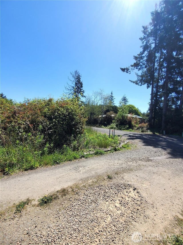 0 219th St, Ocean Park, WA 98640 - photo 3