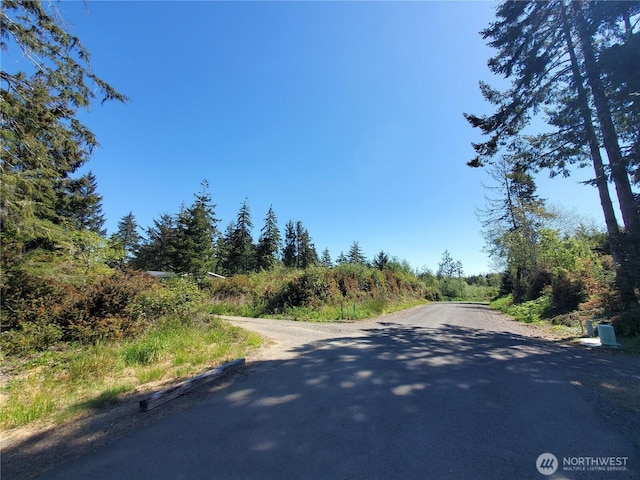 0 219th St, Ocean Park, WA 98640 - photo 4