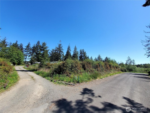 0 219th St, Ocean Park, WA 98640 - photo 5