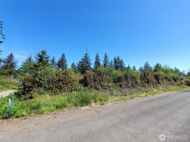 0 219th St, Ocean Park, WA 98640 - photo 6