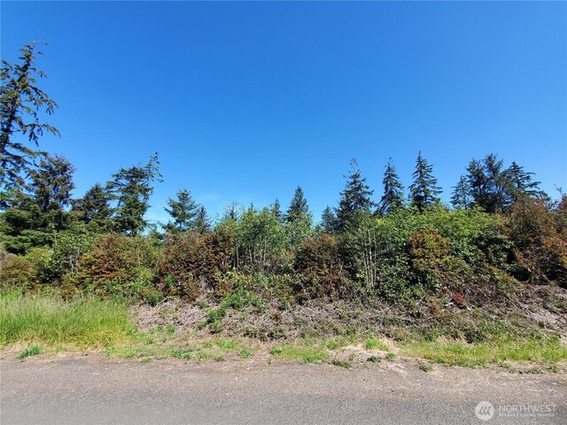0 219th St, Ocean Park, WA 98640 - photo 7
