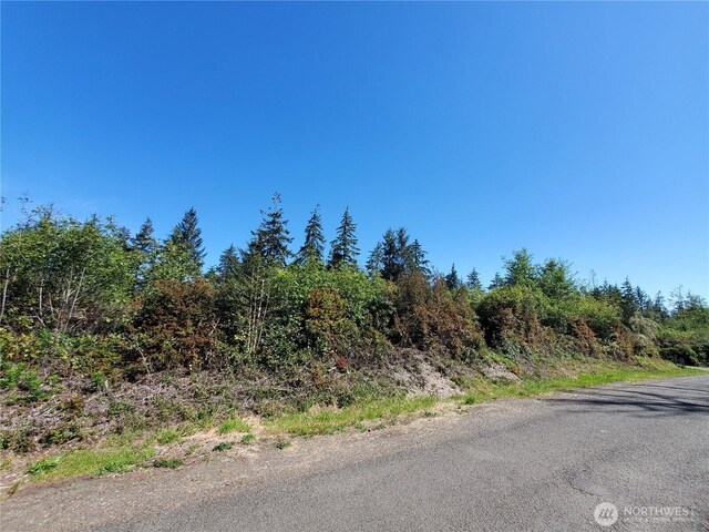 0 219th St, Ocean Park, WA 98640 - photo 8