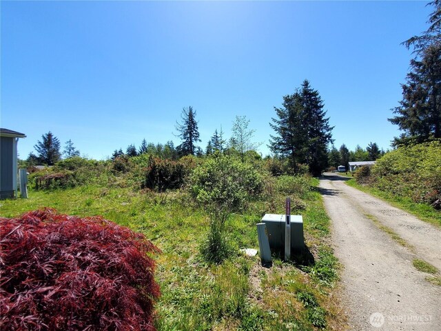 0 219th St, Ocean Park, WA 98640 - photo 9