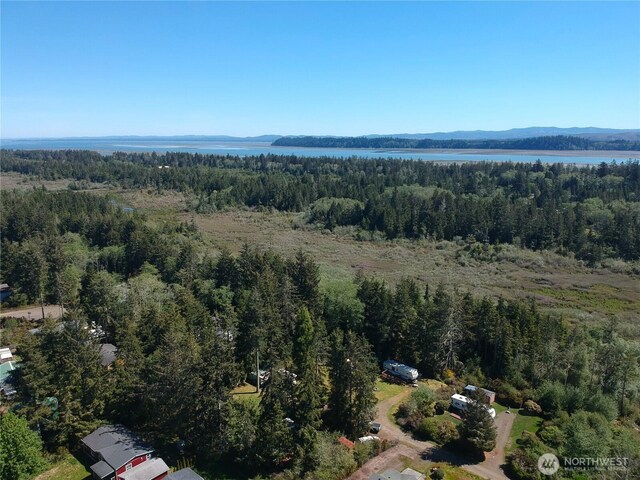 0 219th St, Ocean Park, WA 98640 - photo 10