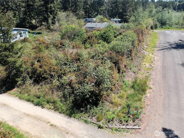 0 219th St, Ocean Park, WA 98640 - photo 12