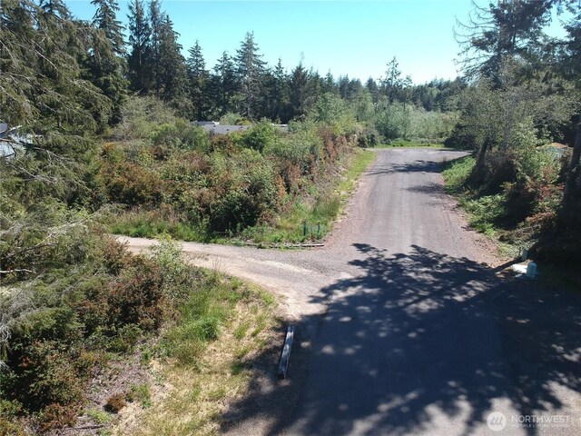 0 219th St, Ocean Park, WA 98640 - photo 13