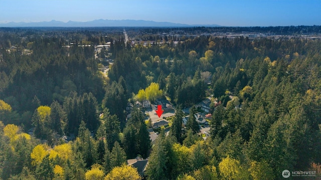 19529 Locust Way, Lynnwood, WA 98036 - aerial overview of property's location featuring a forest and a mountain backdrop
