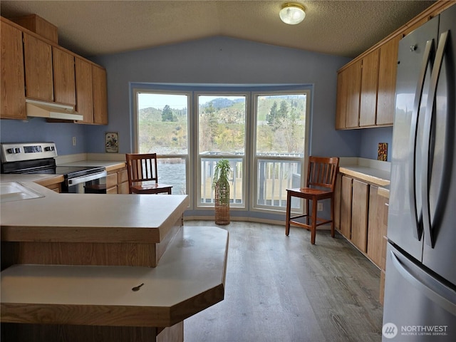kitchen featuring light countertops, light wood-type flooring, appliances with stainless steel finishes, under cabinet range hood, and vaulted ceiling