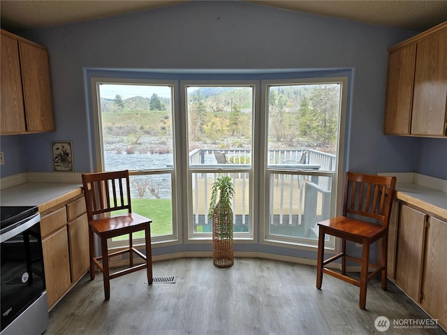 interior space featuring visible vents, light wood finished floors, vaulted ceiling, and a wealth of natural light