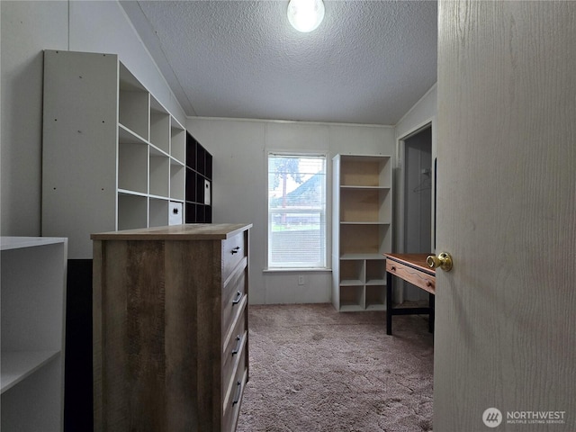walk in closet featuring carpet floors