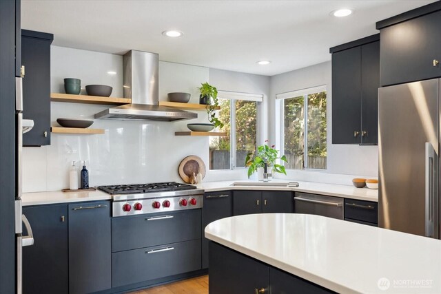kitchen featuring open shelves, a sink, light countertops, ventilation hood, and stainless steel appliances