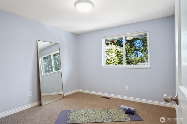 exercise area featuring baseboards, visible vents, plenty of natural light, and carpet