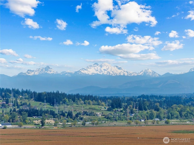 mountain view featuring a view of trees