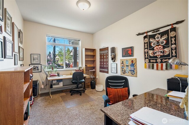 office area featuring carpet
