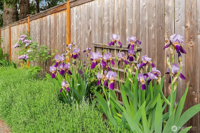 exterior view of fence