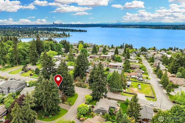aerial perspective of suburban area with a large body of water